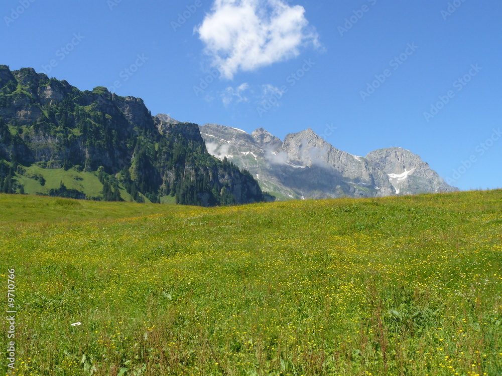 Fototapeta premium paisaje en calma