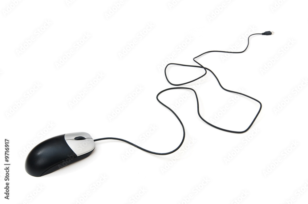 Computer mouse isolated on the white background Computer mouse isolated on the white background
