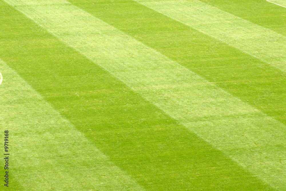 Obraz premium Trawnik na stadionie piłkarskim
