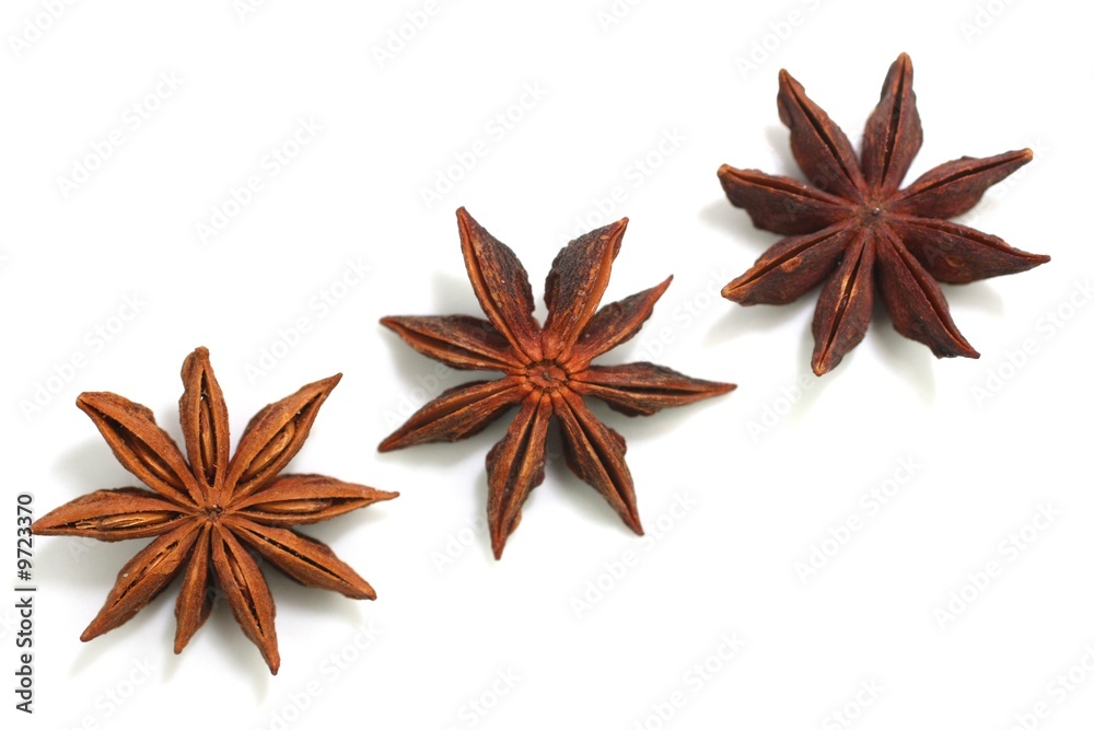 Sternanis Sternanis