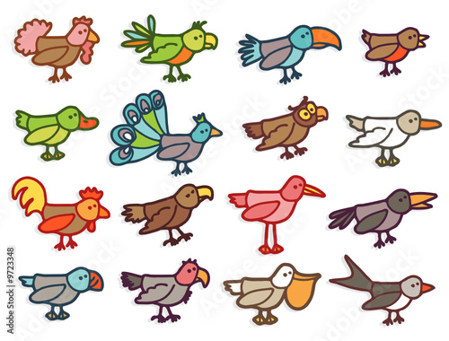 birds - color