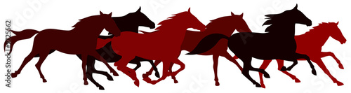 Obraz na plátně Running horses