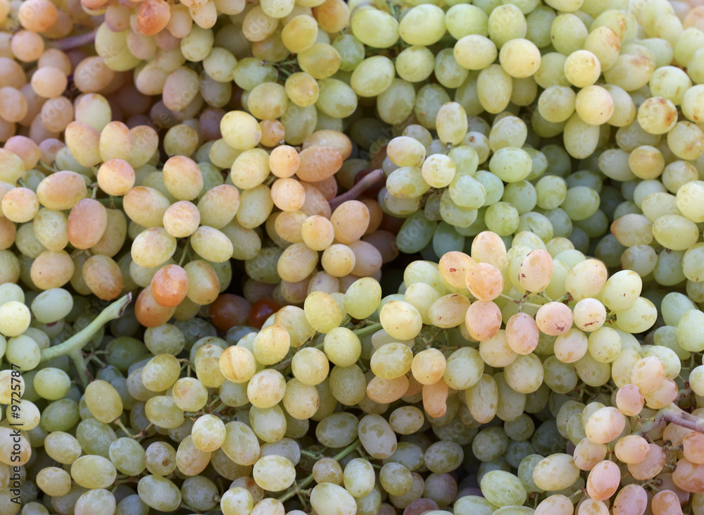 Grapes