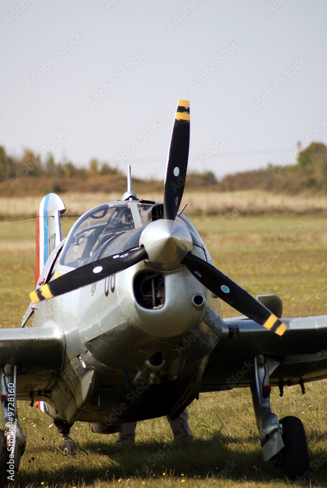 Fototapeta premium Avion a hélice