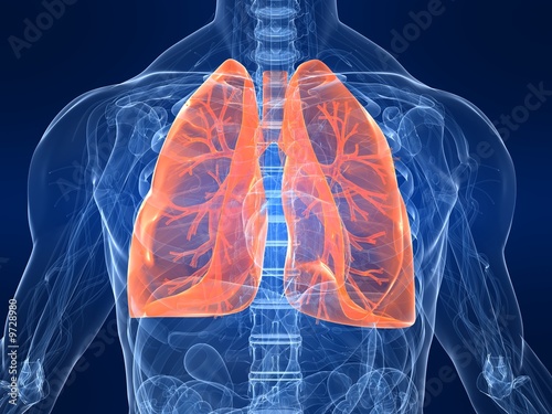 menschliche lungen #9728980