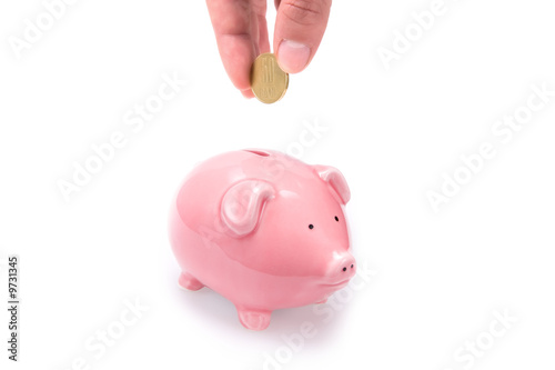 Putting money in piggy bank