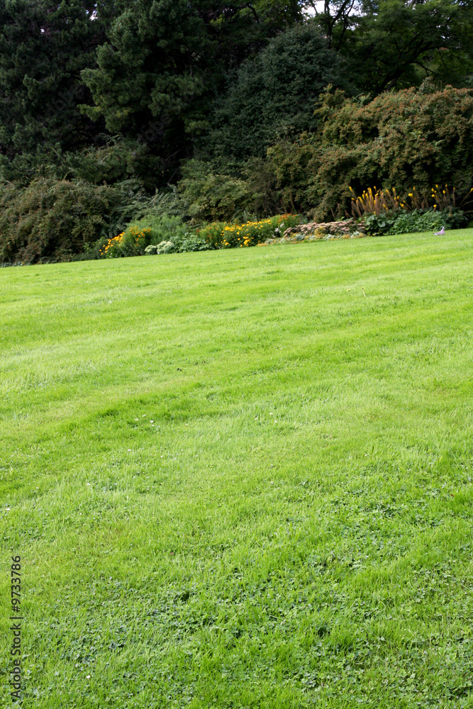 Obraz premium Green field