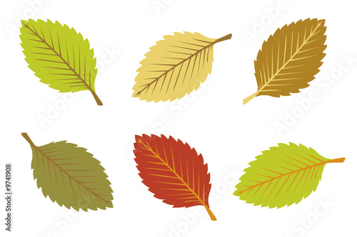 a set colorful autumn leaves