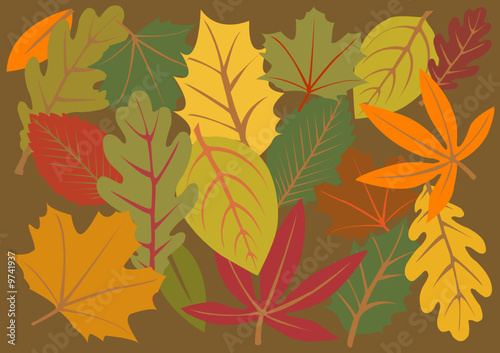 vector illustration background of colorful autumn leaves