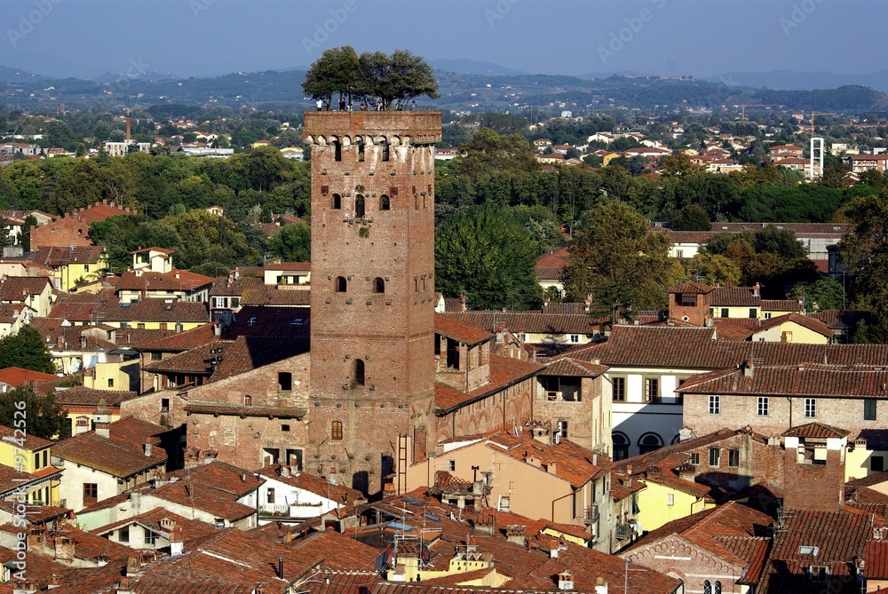 Lucca, Torre Guinigi 3