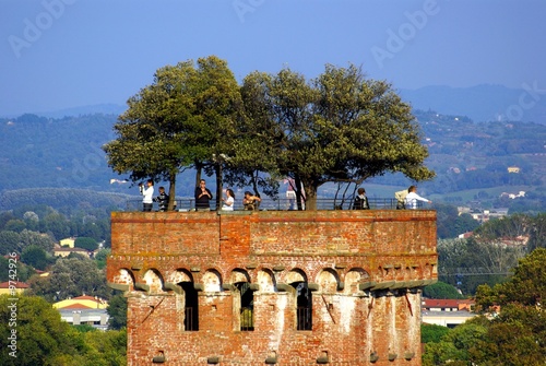 Lucca, Torre Guinigi 4 photo