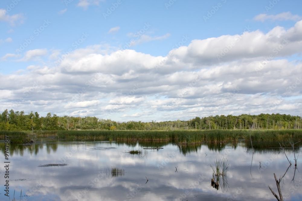 Clouds and blue sky reflected in a wetland.