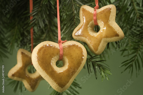 Gingerbread ornaments on fir branch isolated against green paper