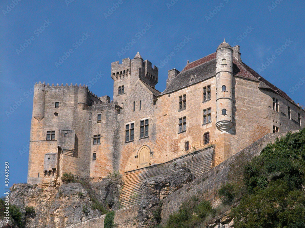 chateau Sarlat departement