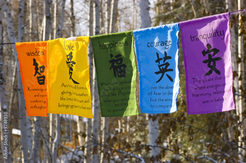 Buddhist prayer flags strung between trees in the winter