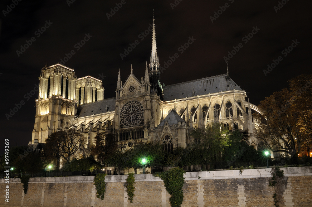 Cathédrale Notre-Dame de Paris