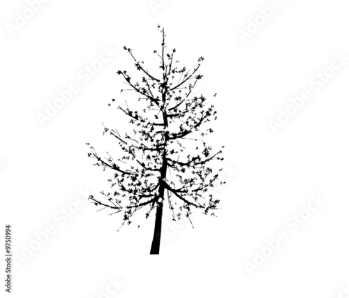 arbre vectoriel