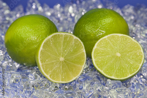 Limette in eisigem Umfeld - Limone in eisigem Umfeld