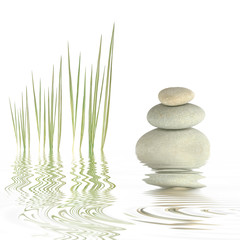 Wandcirkels Toilet Zen stenen met witte orchidee  © marilyn barbone