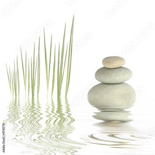 Zen Simplicity