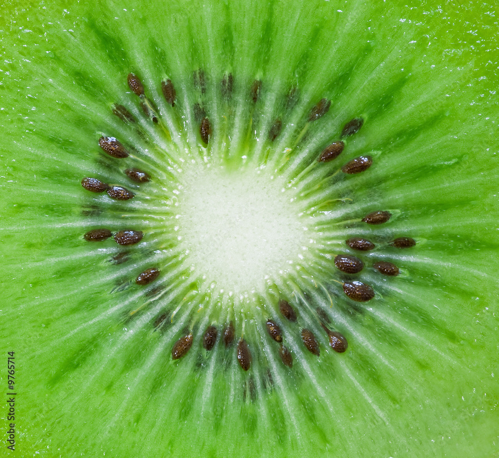 background in green of a kiwi fruit with high detail background in green of a kiwi fruit with high detail