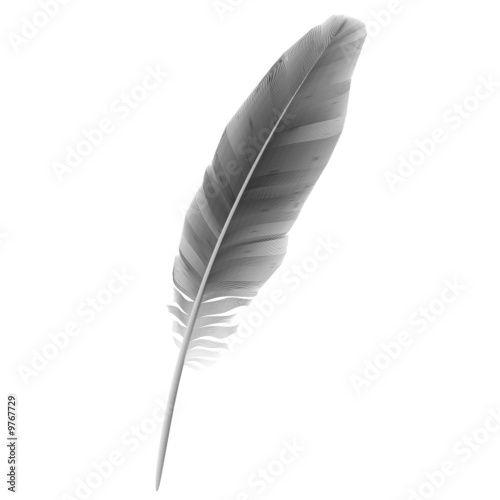 Vector feather