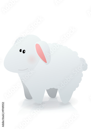 Mouton blanc (reflet)