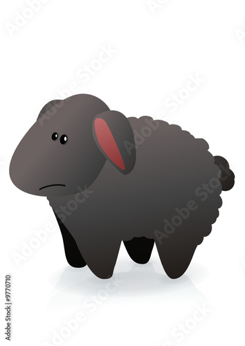 Mouton noir (reflet)