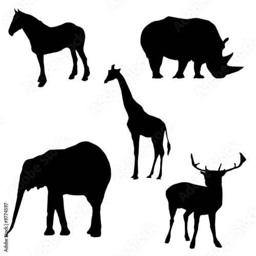 Zoo Animal Silhouettes isolated on white