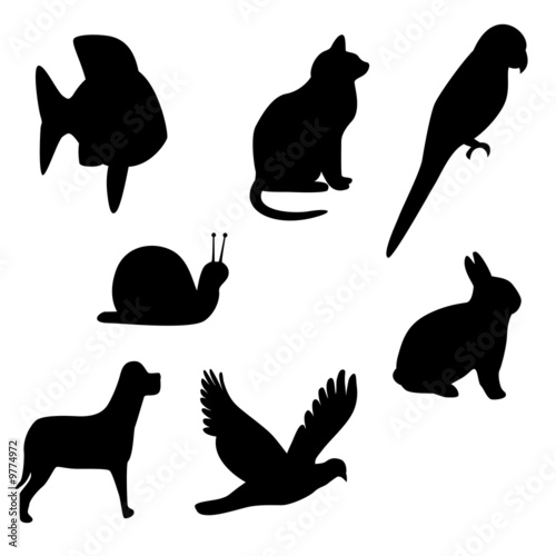 Animal Silhouettes isolated on white