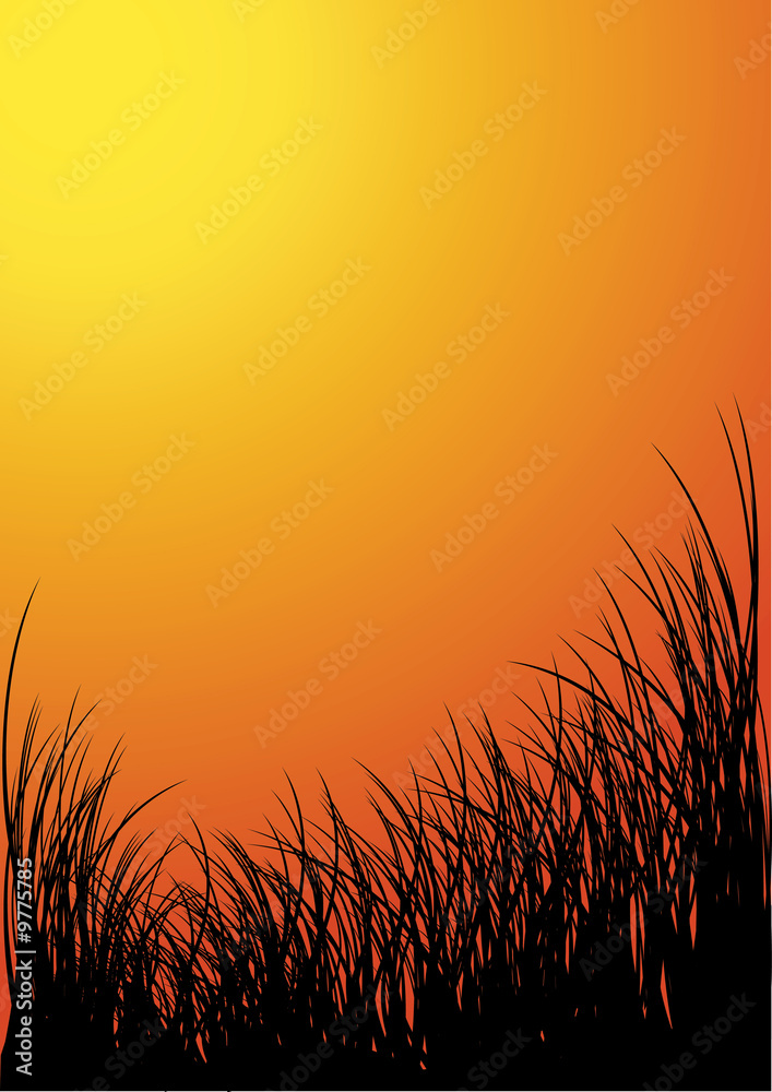 Vector grass silhouette background - sunset