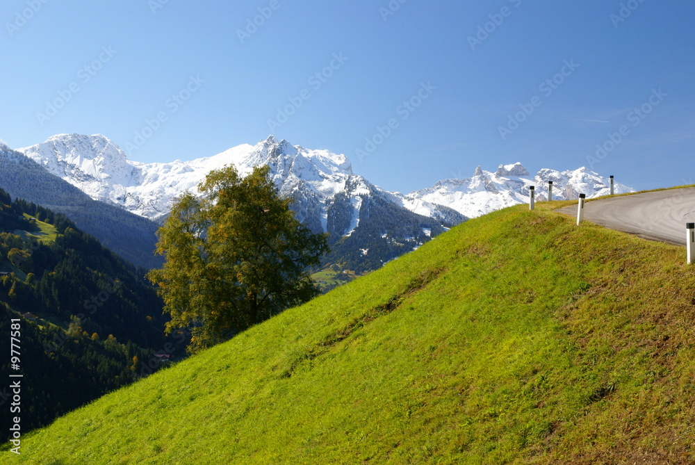 Fototapeta premium Traumstraße