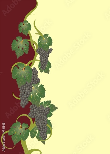 wine label with grape