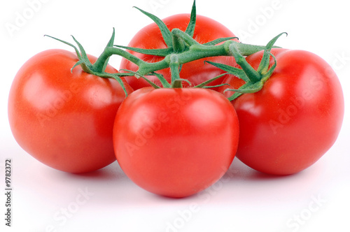 Tomaten