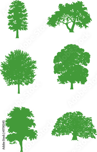 Abstract vector illustration  green trees