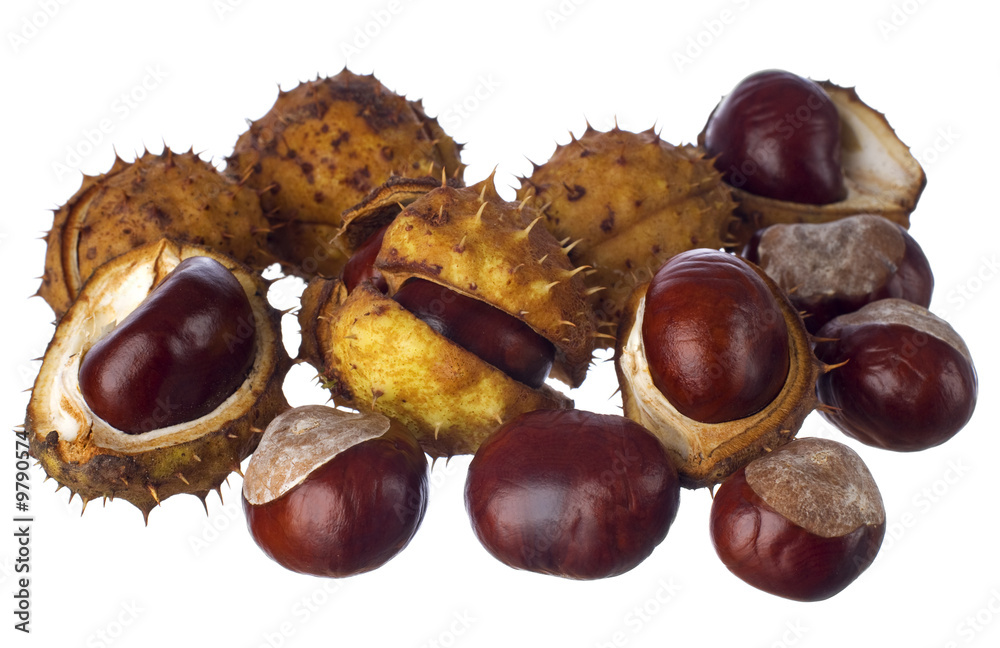 chestnuts isolated on white close up shoot