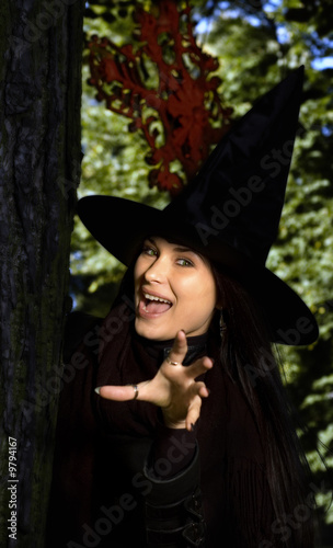 Fotografering Witch in the hat