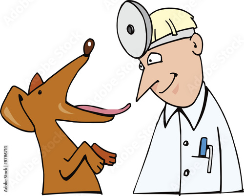dog vet