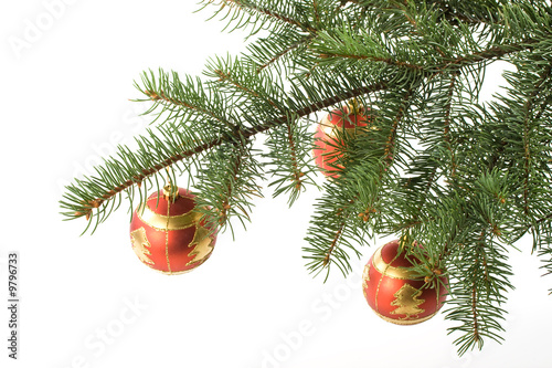 Fir tree branch with decoration on a white background.