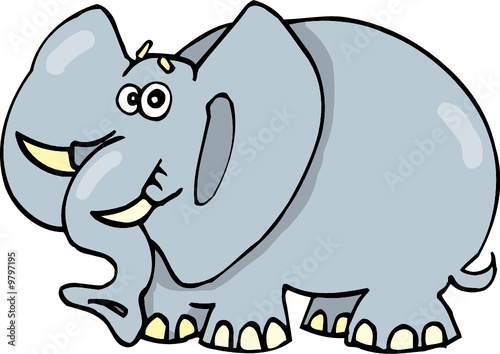 funny elephant