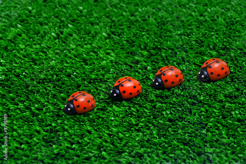 four ladybugs