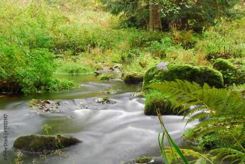 Bachlauf9