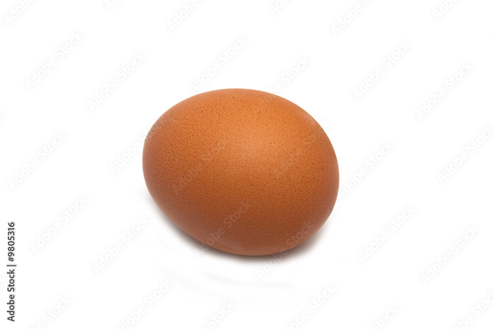 chicken eggs isolated on white chicken eggs isolated on white