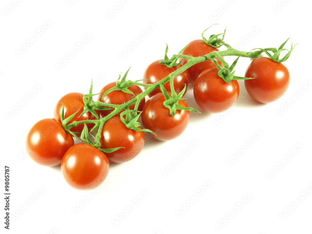 tomatoes on vine tomatoes on vine