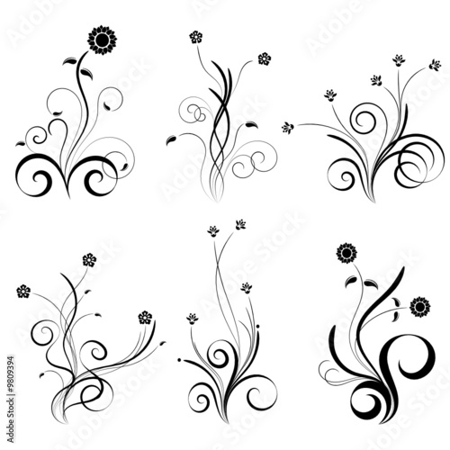 Curled vector floral elements for design