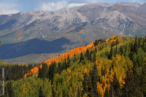Fall Colors off Kebler Pass in Colorado