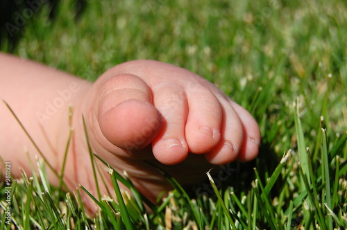 Canvas Print Baby toes