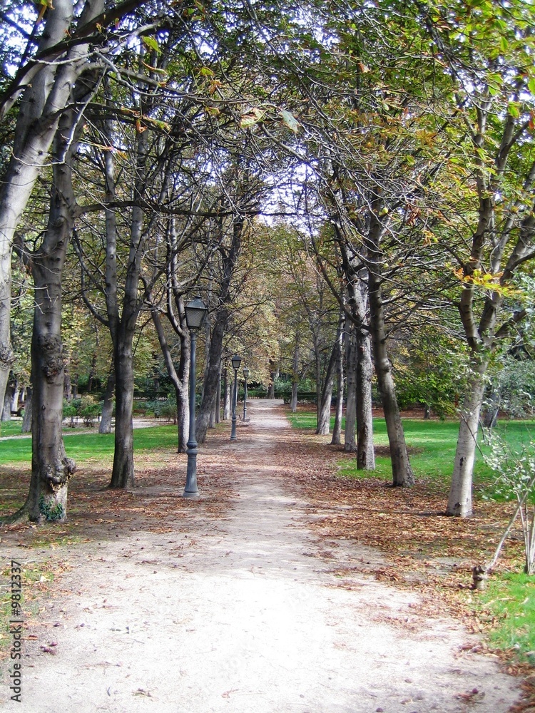 Fototapeta premium Allée automnale