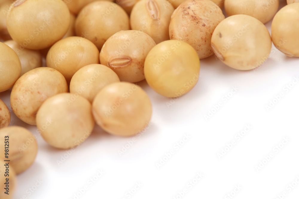 close-ups of soybeans isolated on white