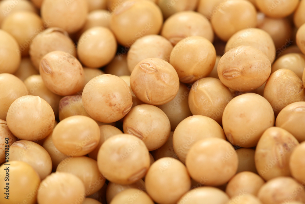 backbround of soybeans - food and drink backbround of soybeans - food and drink